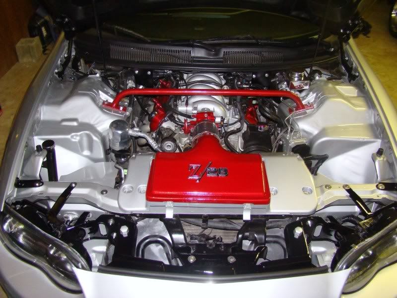 Boiled Linseed Oil.......substitute for plastic dressing! Autopia